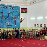 Краевые соревнования по спортивной акробатике "Памяти ЗМС РФ С.Кушу".