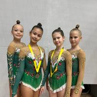 Первенство муниципального образования город Краснодар по художественной гимнастике  Краснодар, 21-23 октября 2025 года