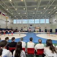 фестиваль «Самбо»