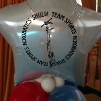 «SHULGA TEAM CUP»