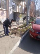 Экологическая инициатива объединила школу и родителей