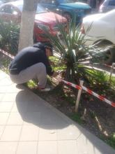 Экологическая инициатива объединила школу и родителей