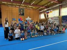 «SHULGA TEAM CUP»